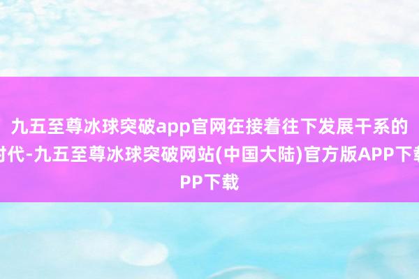 九五至尊冰球突破app官网在接着往下发展干系的时代-九五至尊冰球突破网站(中国大陆)官方版APP下载