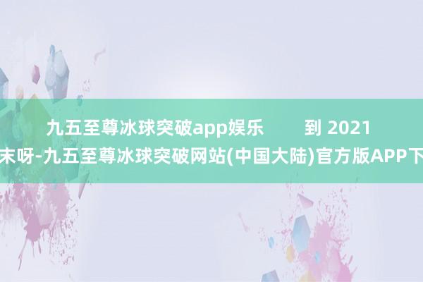 九五至尊冰球突破app娱乐        到 2021 年末呀-九五至尊冰球突破网站(中国大陆)官方版APP下载