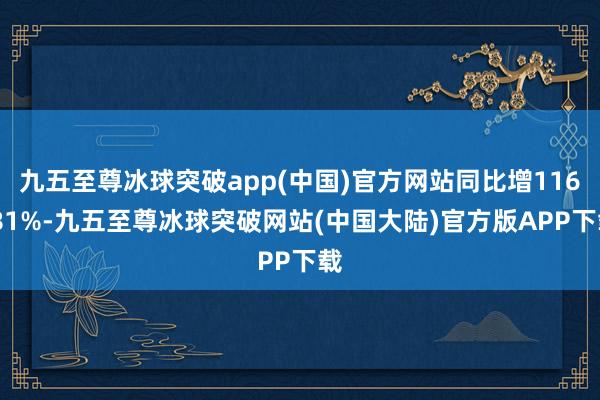 九五至尊冰球突破app(中国)官方网站同比增116.81%-九五至尊冰球突破网站(中国大陆)官方版APP下载