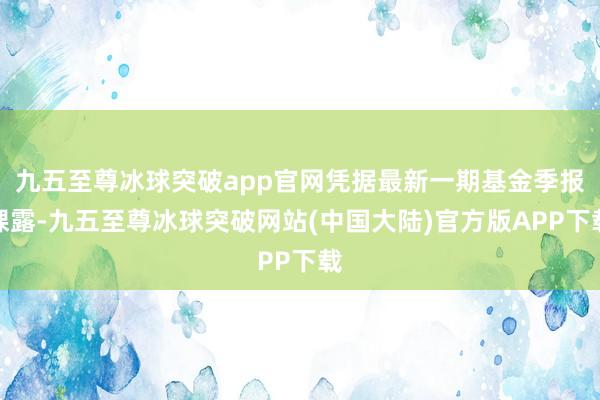 九五至尊冰球突破app官网凭据最新一期基金季报裸露-九五至尊冰球突破网站(中国大陆)官方版APP下载