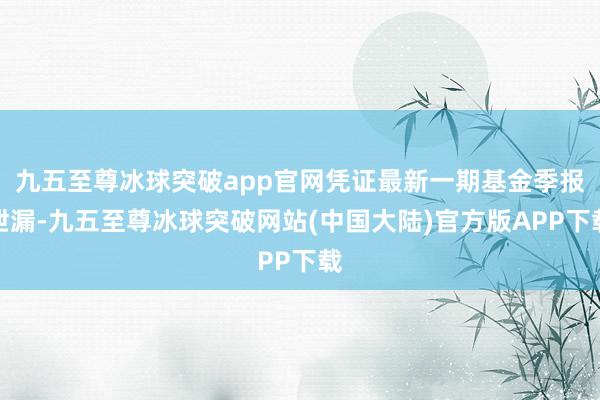 九五至尊冰球突破app官网凭证最新一期基金季报泄漏-九五至尊冰球突破网站(中国大陆)官方版APP下载