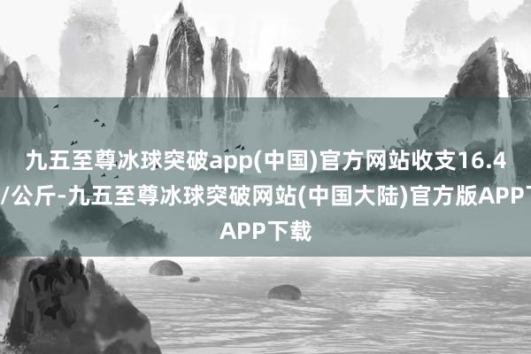 九五至尊冰球突破app(中国)官方网站收支16.40元/公斤-九五至尊冰球突破网站(中国大陆)官方版APP下载