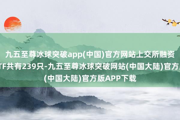 九五至尊冰球突破app(中国)官方网站上交所融资融券方向ETF共有239只-九五至尊冰球突破网站(中国大陆)官方版APP下载